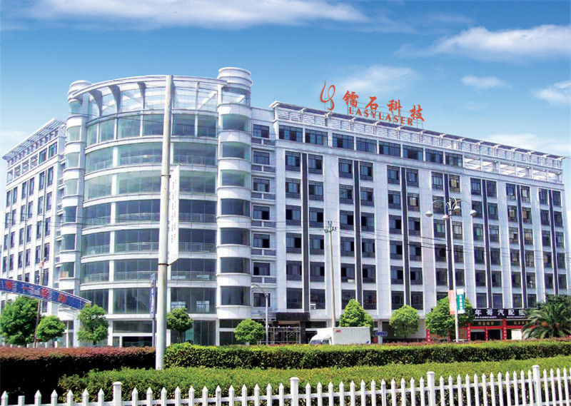 Cina China Lasylaser Beauty Supply Profil Perusahaan 